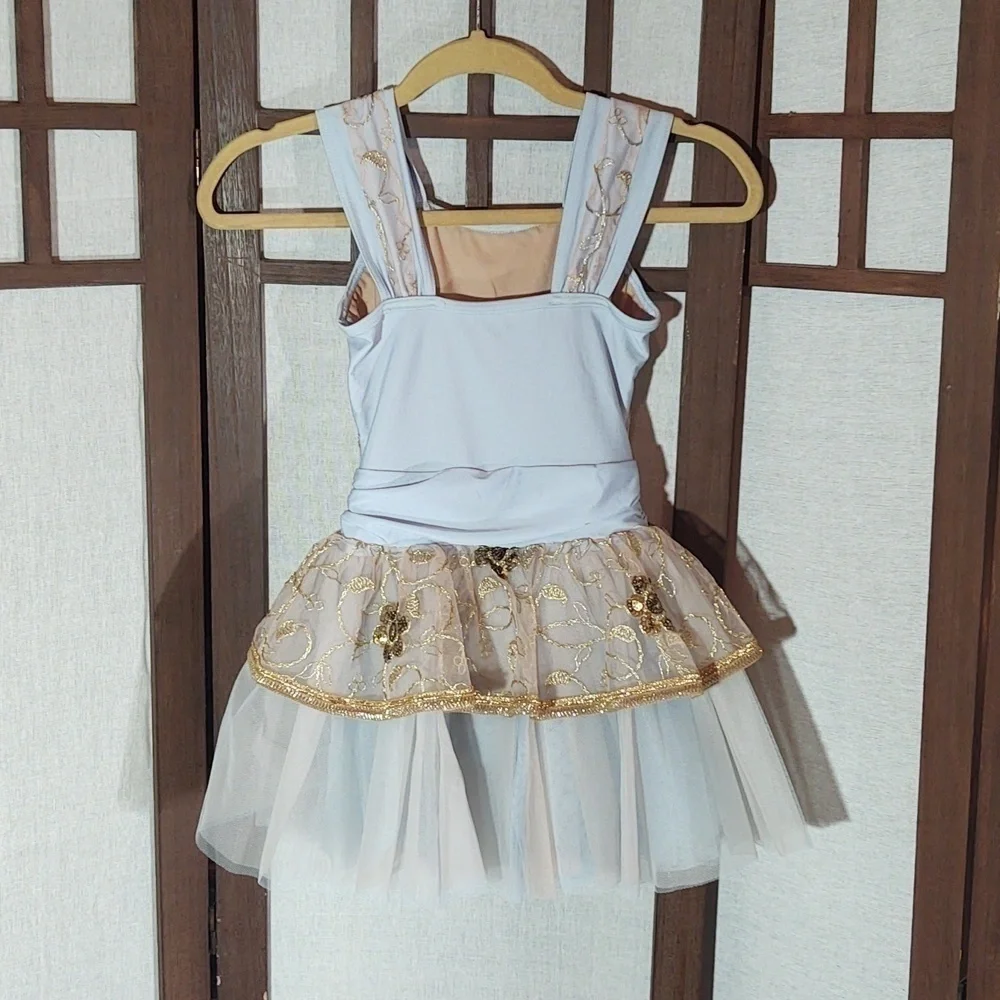 Weissman Lead The Way Sequin Embroidered Dance Dress tutu ballet 13466 Sz IC